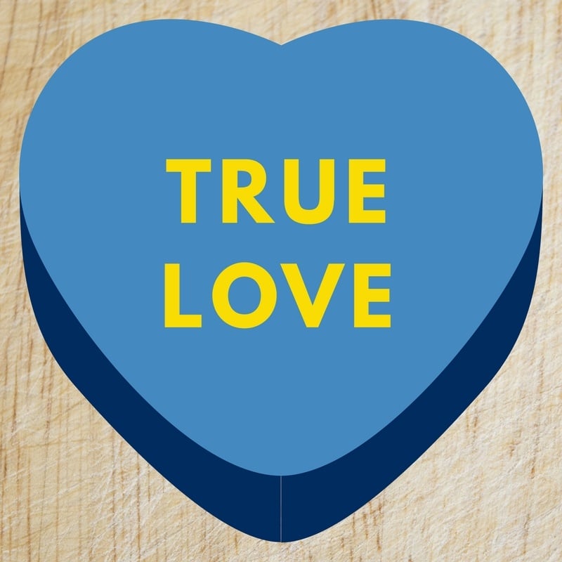 download site to find true love